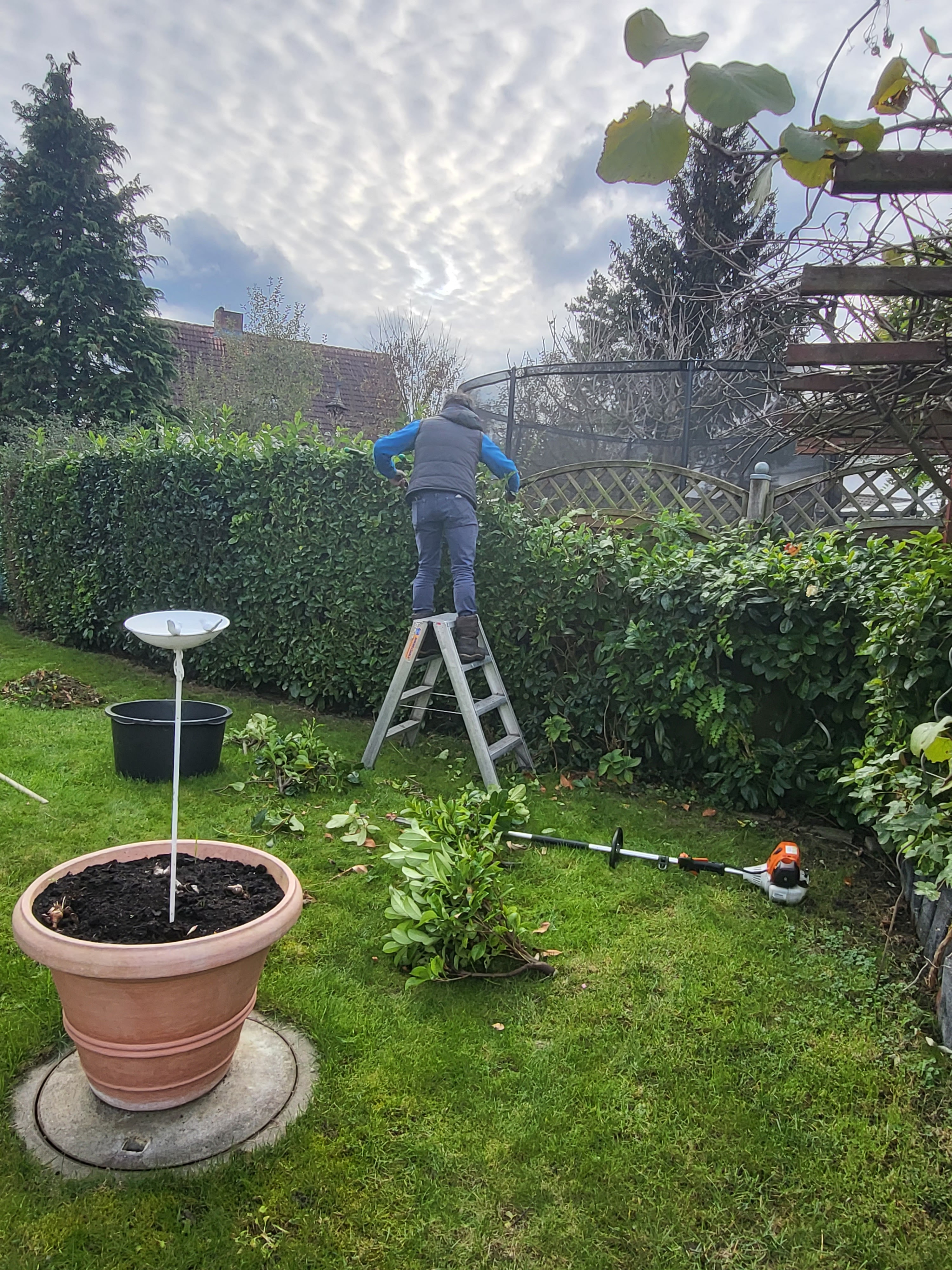 Gartenarbeiten und Pflege von Außenanlagen